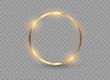 Abstract luxury golden ring. Vector light circles and spark light effect.