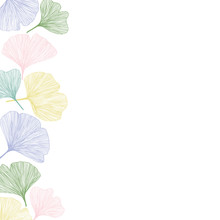 Ginkgo Biloba Leaves, Vector Illustration Left Side Border In Pastel Colors For Background