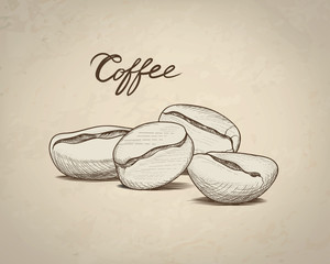 Coffee beans sketch. Drink coffee banner. Line art food label il