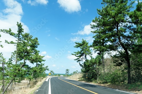 鳥取砂丘東側の海沿いの道 Wall Mural Wallpaper Murals Pheeby 鳥取砂丘東側の海沿いの道 Wall Mural Wallpaper Murals Pheeby