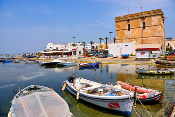 Wall Mural - Porto Cesareo, Puglia, Italy the Caesarea Tower