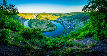 Wall Mural - Moseltal - Germany