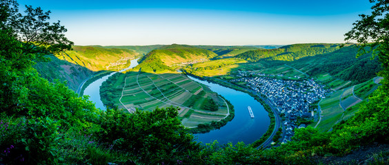 Wall Mural - Moseltal - Germany