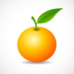 Canvas Print - Tangerine vector icon