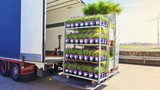 Fototapeta Na drzwi - Open delivery truck loaded with pot plants pallets . There is a loading to the truck trailer  .