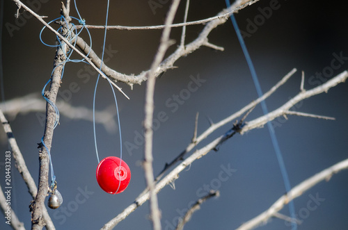 Fotografie, Obraz Fishing Bobber Entangled in the Dried Tree Branches