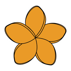 beautiful flower decorative icon vector illustration design