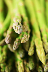 Wall Mural - Close up of fresh asparagus. Clean and healthy eating concept. Macro texture of asparagus. Selective focus.