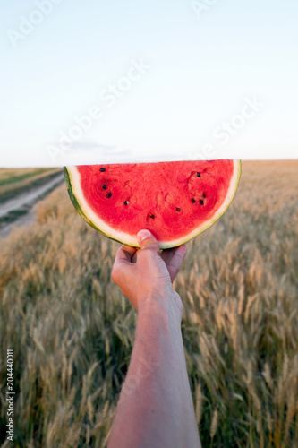Hands Holding Watermelon Slice Summertime Love Valentines Day Watermelon Lover Concept Rye Fields Buy This Stock Photo And Explore Similar Images At Adobe Stock Adobe Stock adobe stock