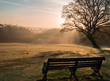 Misty sunrise bench