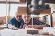 © Karanov images - Carpenters using circular saw in workshop