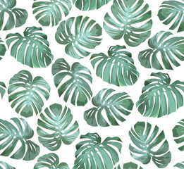 Wall Mural - Tropical seamless pattern with green monstera leaves on white background. Tropical vector background for print or textile.