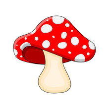 Cartoon Mushroom Toadstool Isolated On White Background