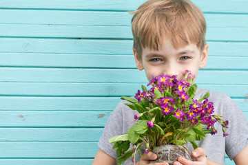 Caucasian boy the teenager in a gray t-shirt against the background of a blue wall from old boards with a bouquet of seedling of cultivated flowers of crimson color. place for an inscription