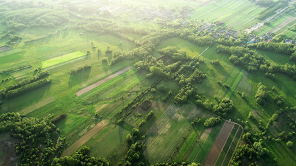 Canvas Print - aerial shot from the drone - spring fields