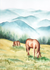 Mountain horses