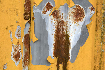 Poster - Old orange corrugated sheet iron