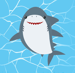 Wall Mural - Cute Shark on Water Background