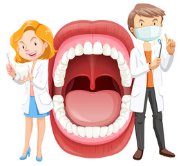 Wall Mural - Human Mouth Anatomy with Dentist