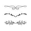 design element vector, beautiful fancy curls and swirls divider or underline design with ivy vines and leaves in black ink lines. Can be placed on any color. Wedding design element.