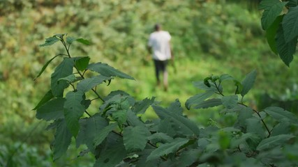 man clearing a field