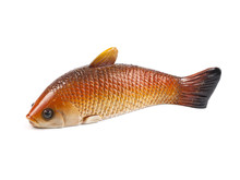 Figure Of Fish On A White Background