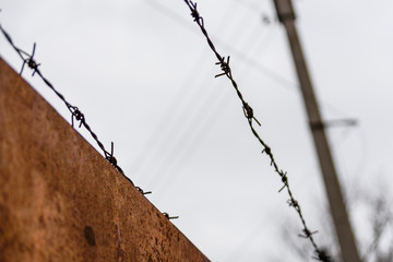 Wall Mural - Barbed wire against the sky on cloudy day