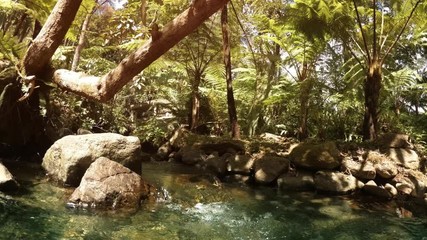 Wall Mural - Mountain Stream through Tropical Rainforest in Thailand, with Sound