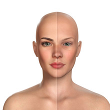 3d Comparative Portrait Of Women With And Without Makeup (also Available Versions With Hair)