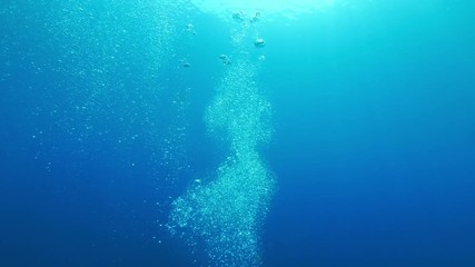 Wall Mural - underwater background abstract air bubbles rising to water surface