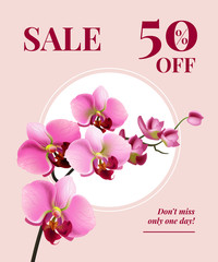 Poster - Sale fifty percent off, do not miss only one day poster design with pink flowers on white circle. Typed text can be used for labels, flyers, signs, banners.