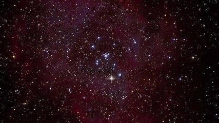 Wall Mural - A rose shaped nebula in outer space