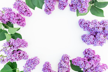  Floral frame composition with lilac flowers and leaves on white background. Flat lay, top view. Flower pattern