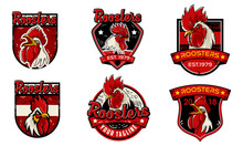 Set Rooster Chicken Logo Badge Design