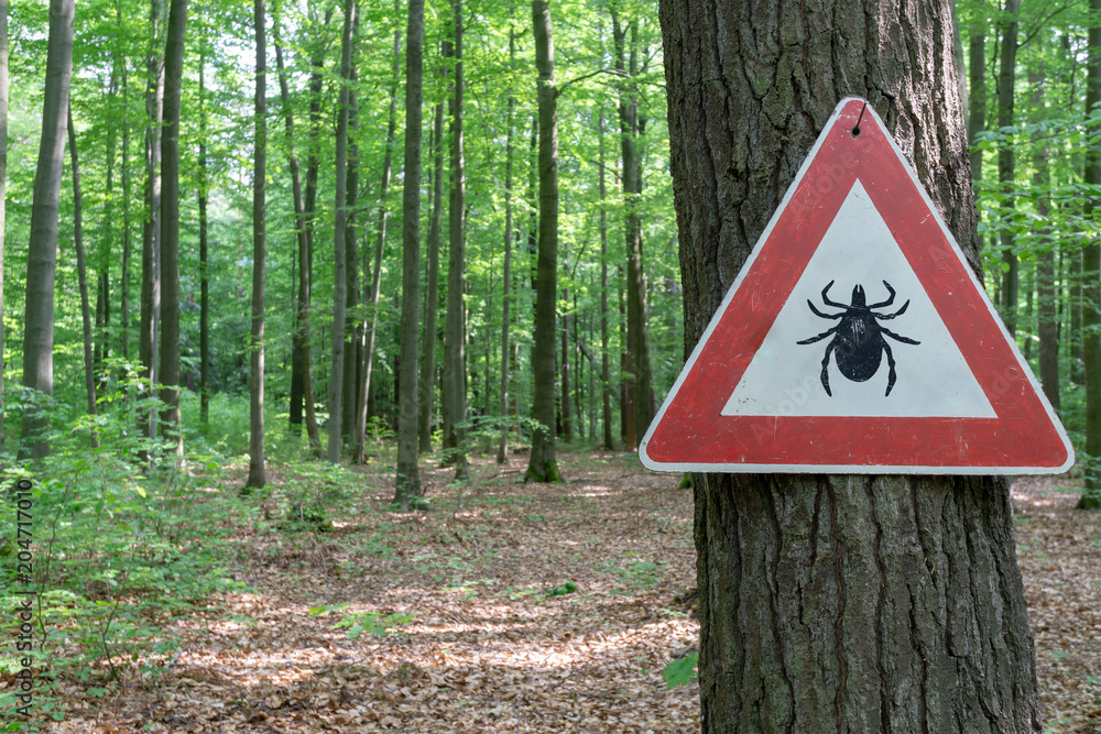 Insect Warning tick insect warning sign in forest Stock Photo | Adobe Stock