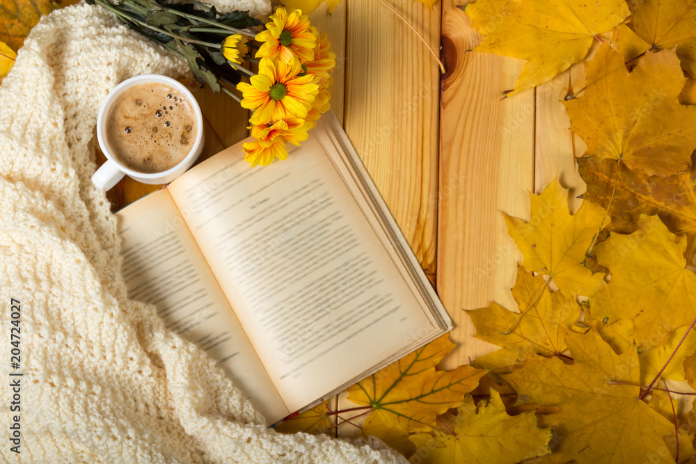 Autumn charm, chrysanthemum, book and warm scarf in leaves - obrazy, fototapety, plakaty 