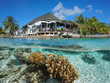 Hut on the sea shore with coral and fish underwater, split view above and below water surface, Rangiroa, Tuamotus, Pacific ocean, French Polynesia