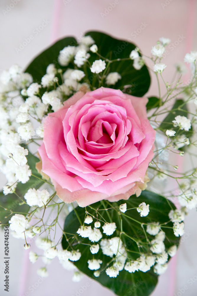 Rosenzart, Aufsicht auf eine rosa farbene Rose mit Schleierkraut als Tischschmuck Stock-foto