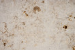 travertine (limestone) walling panel pattern