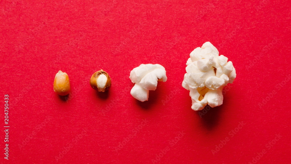 Stages of preparation of corn kernels on red table, top view - obrazy, fototapety, plakaty 