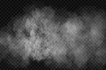 Wall Mural - Vector realistic isolated smoke effect for decoration and covering on the transparent background.