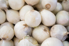 White Onions At Fresh Food Market, Harvesting White Bio Onions Background
