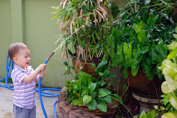 Cute smiling little Asian 2 year old toddler baby boy child having fun watering the plants from hose spray in the garden at home, Little home helper, chores for kids, child development concept