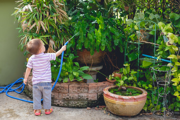 Wall Mural - Backside of little Asian 2 year old toddler baby boy child having fun watering the plants from hose spray in the garden at home, Little home helper, chores for kids, child development concept