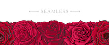 Red Roses Border Seamless Pattern With Romantic Hand Drawn Flower Blooms Isolated On White Background. Beautiful Floral Vector Illustration With Rose Blossom In Sketch Style.