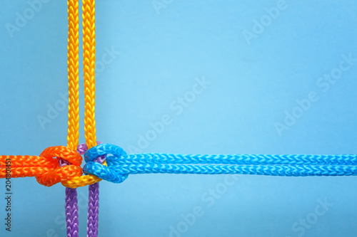 Cuadros en Lienzo Different ropes tied together with knot on color background