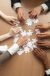 © fizkes - Multiracial team assembling puzzle together, hands of diverse people connecting pieces engaging in finding solutions, teambuilding and teamwork concept, business help support, close up vertical view