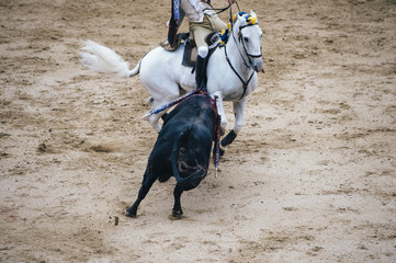 Wall Mural - Corrida. Matador and horse Fighting in a typical Spanish Bullfight