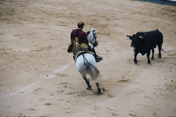 Wall Mural - Corrida. Matador and horse Fighting in a typical Spanish Bullfight