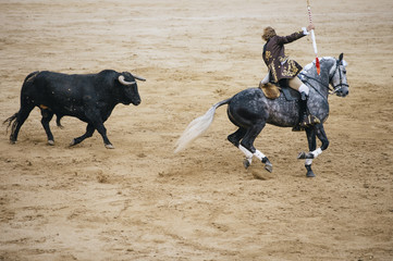 Wall Mural - Corrida. Matador and horse Fighting in a typical Spanish Bullfight